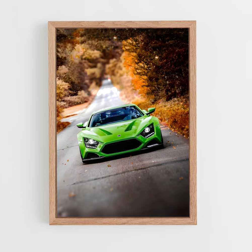 Poster Ts gt captivant – affiche Zenvo (vue 4)